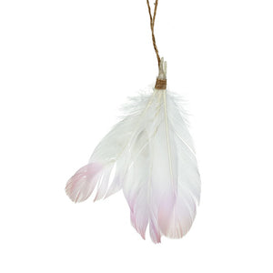 Pink Feather Hanger