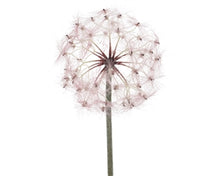 Load image into Gallery viewer, Fabulous Dandelion - 2 colours